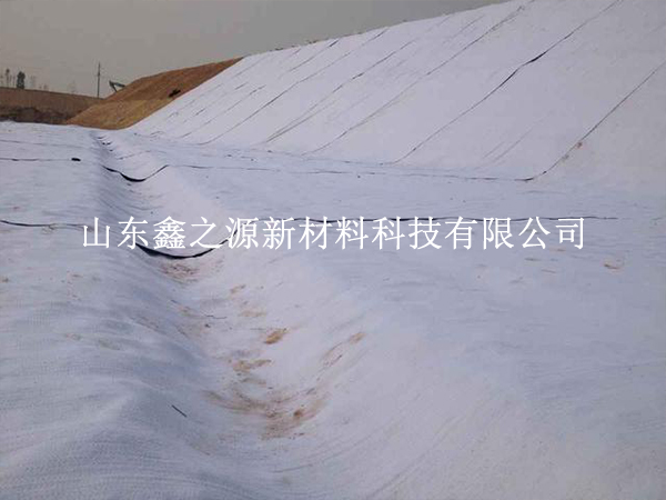 守護養(yǎng)殖基業(yè)，揭秘防滲膜防老化新策略